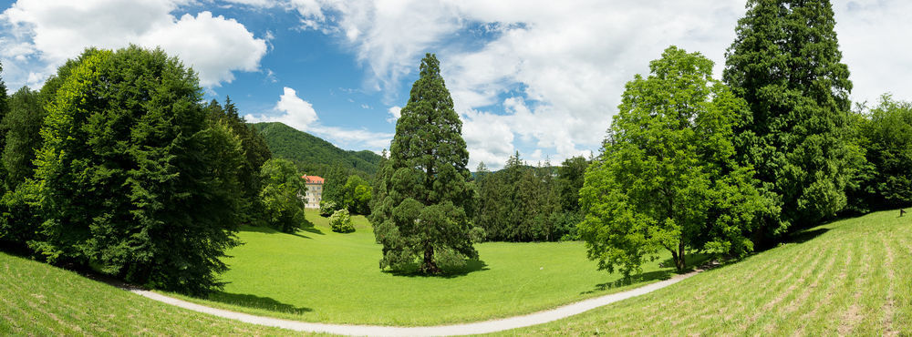 Rimske Terme - Hotel Zdraviliski Dvor Rimske Toplice Kültér fotó